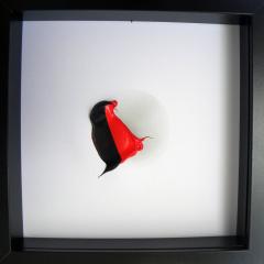 images/dc/black red, 25x25cm.jpg